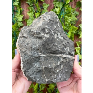 4.57 Lb Fluorescent Dogtooth Calcite Crystal Cluster from India. You get this piece!