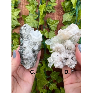 Unique Apophyllite Crystal Clusters from India (P) - Choose Your Piece!