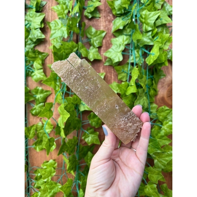 4.42 oz Natural Golden Selenite Crystal Self Collected in Southern Arizona. Large Raw Golden Selenit