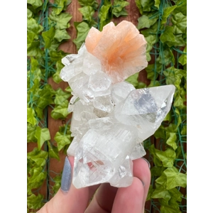 5.05 oz. AA Grade Apophyllite Clear Crystal Cluster Stalactite  from Jalgaon India. You get this pie