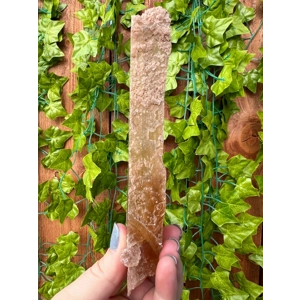 3.36 oz Natural Golden Selenite Crystal Flame Slab Self Collected in Southern Arizona. You Get This