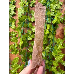 3.36 oz Natural Golden Selenite Crystal Flame Slab Self Collected in Southern Arizona. You Get This