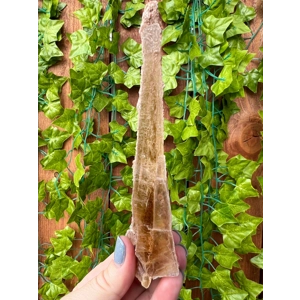 3.36 oz Natural Golden Selenite Crystal Flame Slab Self Collected in Southern Arizona. You Get This