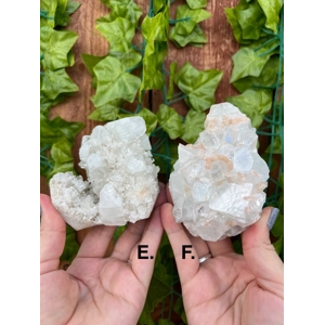 Unique Apophyllite Crystal Clusters from India (P) - Choose Your Piece!