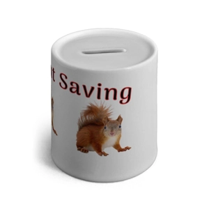 Nuts About Saving Fun Money Box