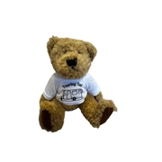 Touring Ted Teddy Bear