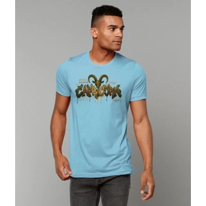 Unisex T-Shirt, Birth Sign, Zodiac/Star Sign  CAPRICORN