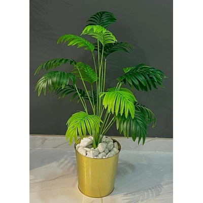 Palm - Gold Palm - Gold
