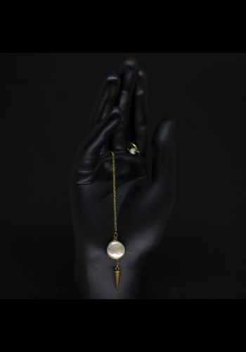 Quantum Wealth Pendulum