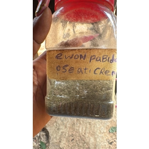 Ewe Ewon Pabida Sobidire Powder 2g / Turn Negative Into Positive Herbs