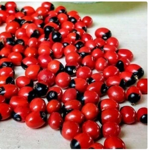 crabs eye seeds/cat eye seeds /oju ologbo / Eso Werenjeje 25g From Nigeria