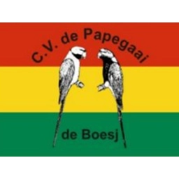 Vastelaovesvlag (klein)