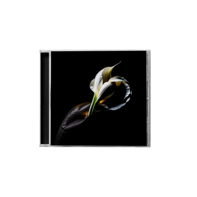 Joel Fausto & Illusion Orchestra - Illusion Orchestra At T.. Joel Fausto & Illusion Orchestra - Illusion Orchestra At T..