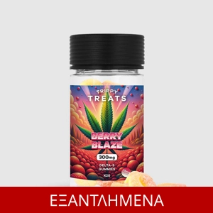 Berry Blaze Gummies DELTA 9 300mg - TRIPPY TREATS