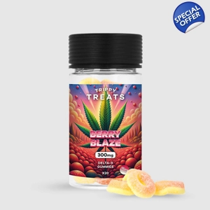 Berry Blaze Gummies DELTA 9 300mg - TRIPPY TREATS