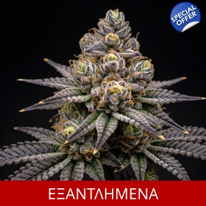 ΑΝΘΟΣ Black Death II Extreme Hydro, 1gr