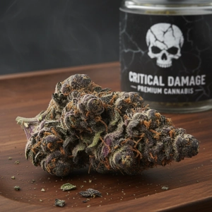 ΑΝΘΟΣ Critical Damage Extreme , 1gr