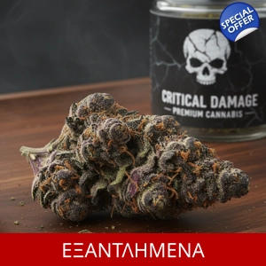 ΑΝΘΟΣ Critical Damage Extreme , 3gr