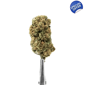 ΑΝΘΟΣ CBD 100% CRITICAL X - GLASSHOUSE, 5grams