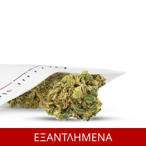 ΑΝΘΟΣ CBD 100% SUPER SILVER, 5grams