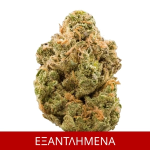 ΑΝΘΟΣ Pure Kush Extreme, 3gr