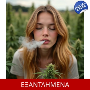 1000 Puffs - 2ML, Premium Vape Pen