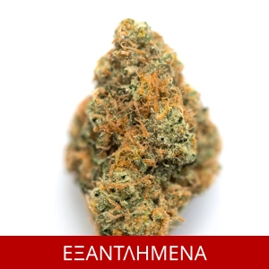 ΑΝΘΟΣ CBD 100% LEMON HAZE, 2grams