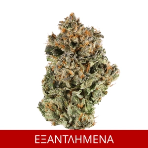 ΑΝΘΟΣ CBD 100% SUNSET SHERBET, 2grams