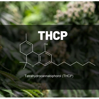 THCP: Το Νέο Αστέρι στο Πάνθεον της Κάνναβης