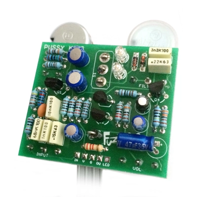 Pussy King - Hybrid Fuzz/Distortion