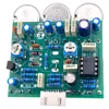 3-Band Rat