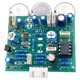 3-Band Rat