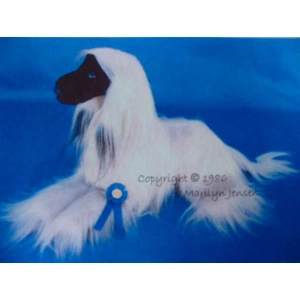 Ali Bubba- Afghan Hound pattern