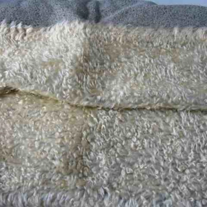 beige curl fur