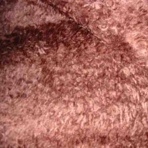 chocolate curl fur