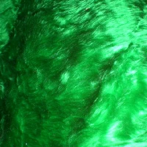 Emerald green fur
