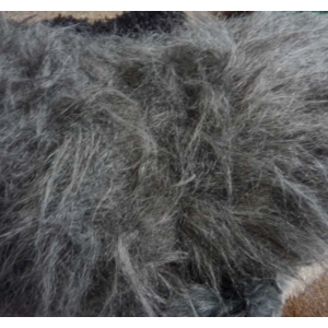 Grey- long haired fur