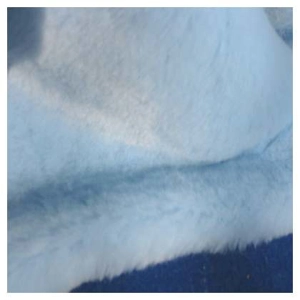 baby blue- Plush fur