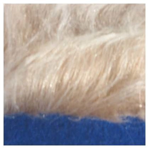 Beige frost- long haired Plush fur