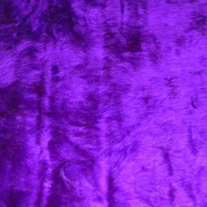 purple fur