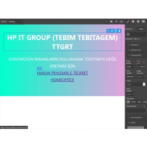 WEB EDİTÖR