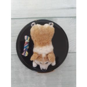 Corgi Sploot