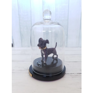 Staffy the Grey