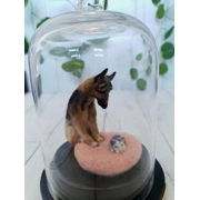 Molly wants her bed back