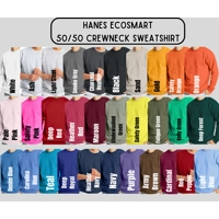 Crewneck Sweatshirt - Alpha Laboratory - brown / light blue