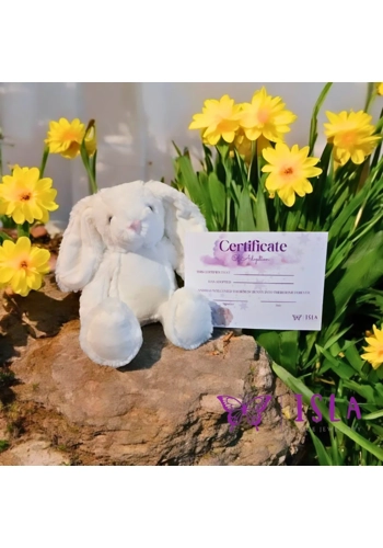 Isla paige guardian bunny