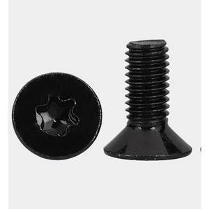 M4 x 8mm Large Head T20 Torx Screw