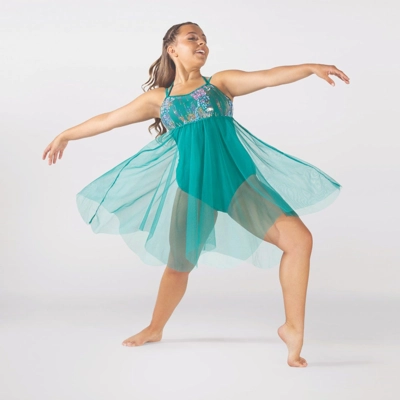 Empire Line Sequinned Bodice Dress with Net Skirt title=