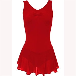 Kitten Skirted leotard