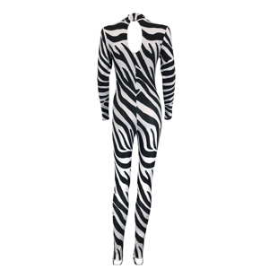 Zebra Catsuit